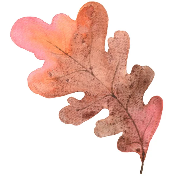 Autumn Oak Leaf Watercolor Illustration Decoration Autumn Season Nature Concept — Stock Photo, Image