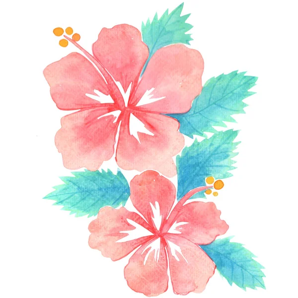 Pink Hibiscus Flower Leaf Watercolor Illustration Decoration Tropical Garden Summer — Stock Photo, Image