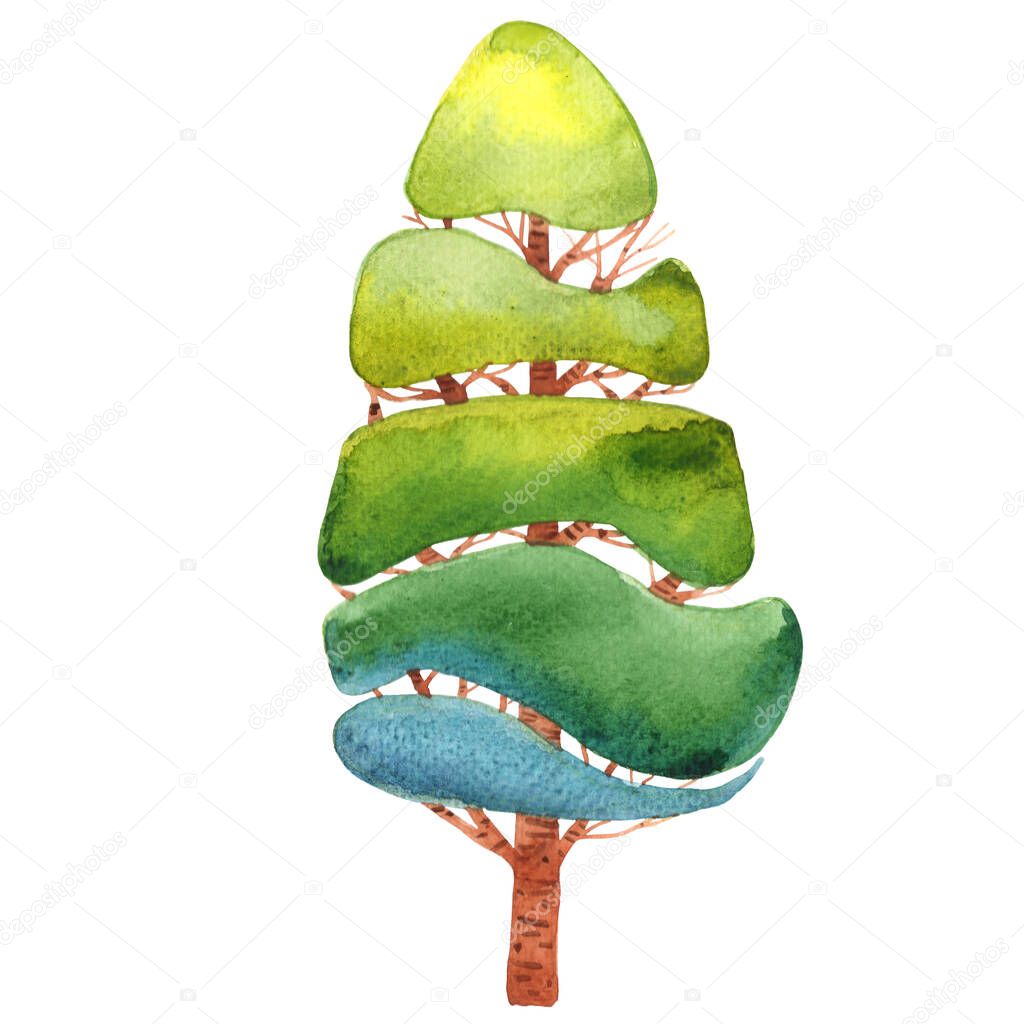 Pine tree watercolor illustration for decoration on garden and nature concept.