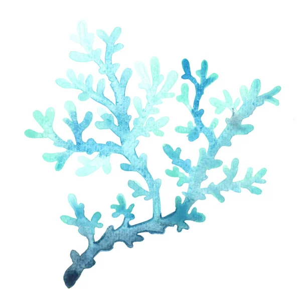 Ilustración Acuarela Coral Azul Para Decoración Vida Marina Costera —  Fotos de Stock