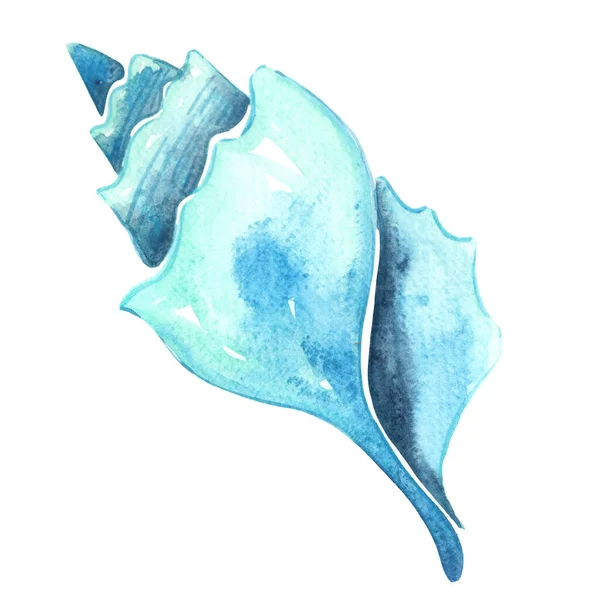 Niebieska Ostryga Perłowy Akwarela Ilustracja Dekoracji Życia Morskiego Życia Przybrzeżnego — Zdjęcie stockowe