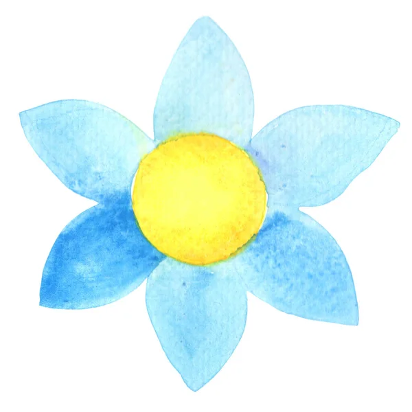 Blue Flower Watercolor Illustration Decoration Spring Nature Concept — 图库照片