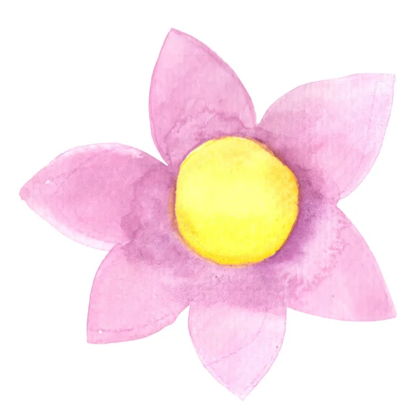 Purple Flower Watercolor Illustration Decoration Spring Nature Concept — Photo