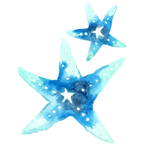 Azul Estrela Mar Aquarela Ilustração Para Decoração Sobre Vida Marinha — Fotografia de Stock