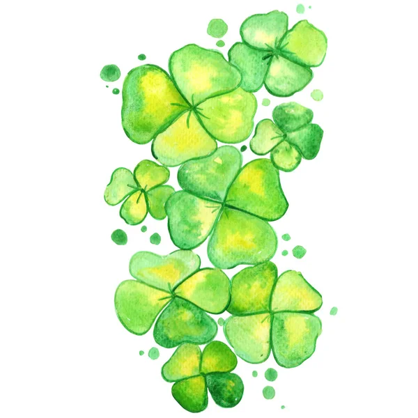Clover Bladeren Struik Aquarel Illustratie Voor Decoratie Saint Patrick Day — Stockfoto