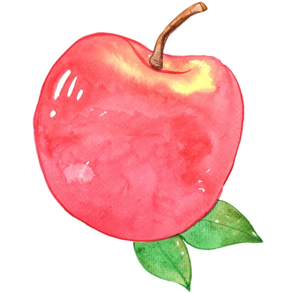 赤いりんごと葉の水彩画は 果物や健康的なコンセプトの装飾のための孤立したイラスト — ストック写真
