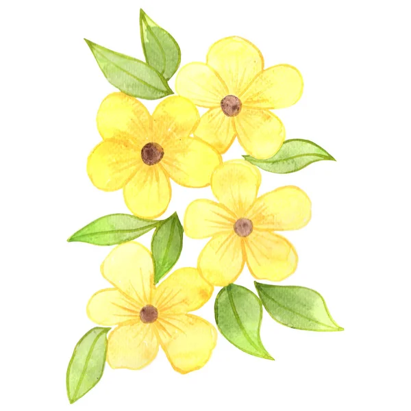 Fiore Giallo Con Foglie Verdi Bouquet Acquerello Isolato Illustratuon Deocorazione — Foto Stock