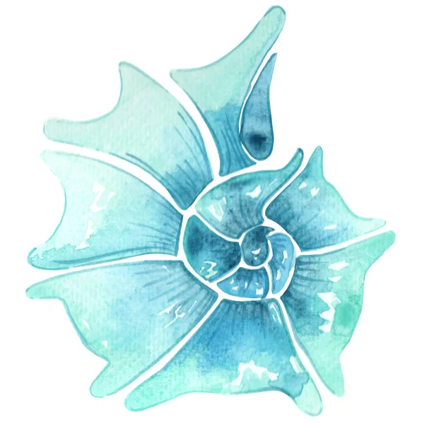 Blue Oyster Pearl Watercolor Illustration Decoration Marine Life Coastal Living — Stock Photo, Image