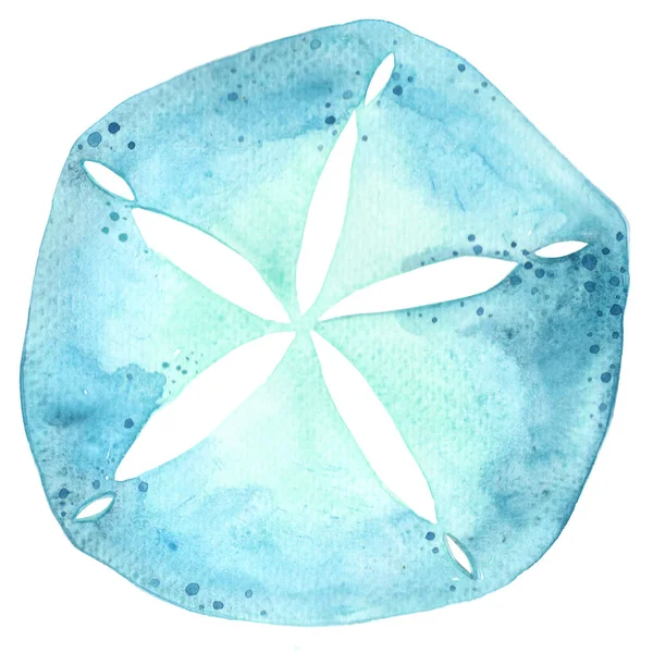 Blaue Sand Dollar Aquarell Illustration Zur Dekoration Von Meereslebewesen Und — Stockfoto