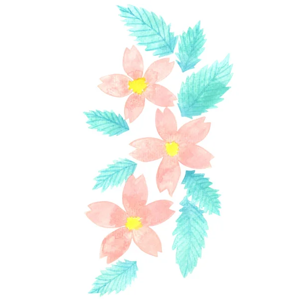 Rosa Sakura Blomma Körsbärsblomma Isolerad Illustration Banner För Dekoration Sommaren — Stockfoto
