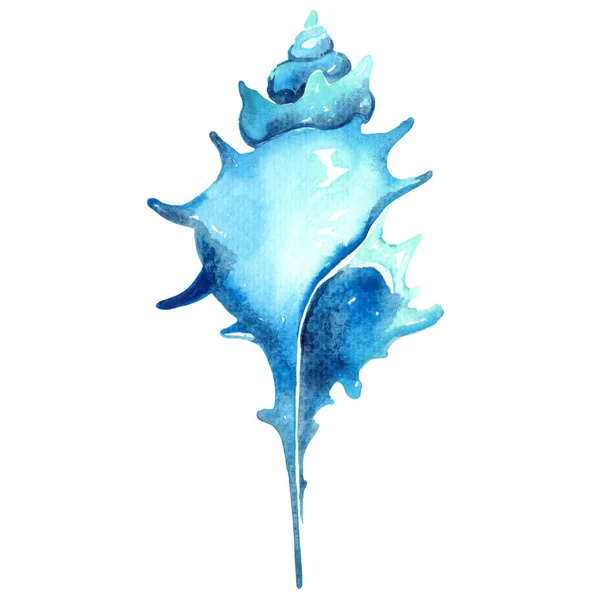 Niebieska Ostryga Perłowy Akwarela Ilustracja Dekoracji Życia Morskiego Życia Przybrzeżnego — Zdjęcie stockowe