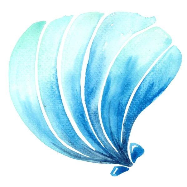 Azul Oyster Perla Acuarela Ilustración Para Decoración Vida Marina Costera — Foto de Stock