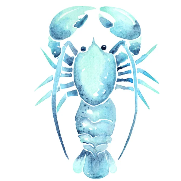 Blue Lobster Watercolor Illustration Decoration Seafood Marine Life Concept — Stock Photo, Image