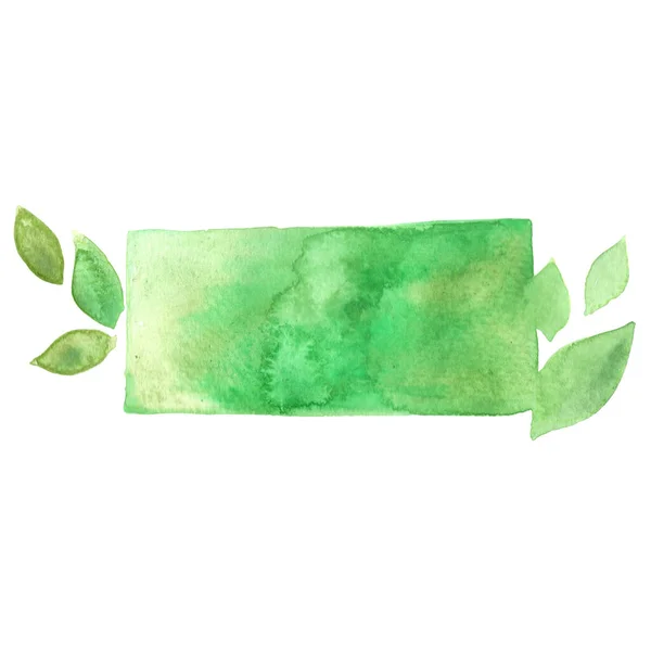 Gröna Blad Med Cirkel Banner Akvarell Illustration För Dekoration Natur — Stockfoto