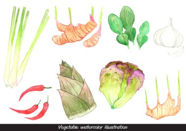 limon çimi, kaffir limon yaprağı, kırmızı biber, zencefil, galangal, sarımsak, marul ve bambu, suluboya resimleme.