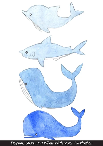 Иллюстрация Акварели Дельфинов Акул Китов Украшения Морской Жизни — стоковое фото