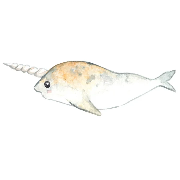 Narwhal Watercolor Illustration Decoration Sea Life Ocean — Stock Photo, Image