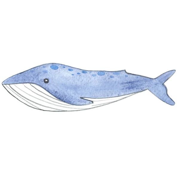 座头鲸水彩画 用于海洋生物和海洋装饰 — 图库照片