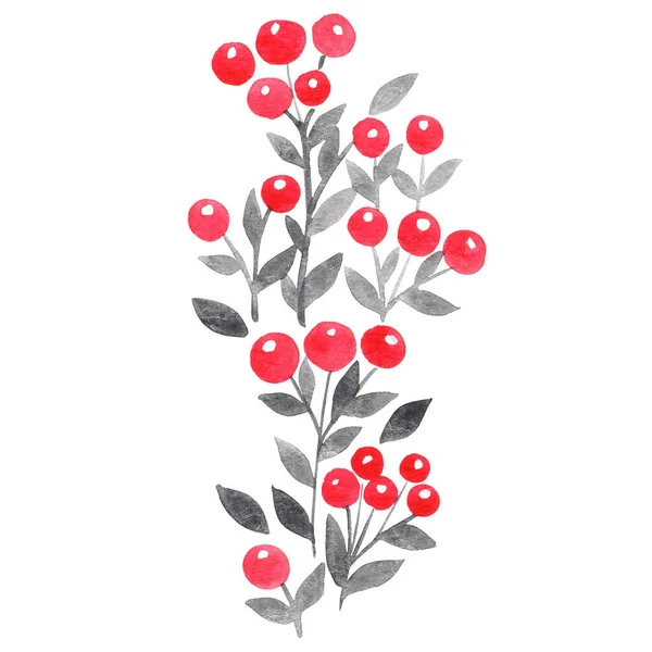 Rote Beeren Und Schwarze Blätter Aquarell Illustration Zur Dekoration Valentinstag — Stockfoto