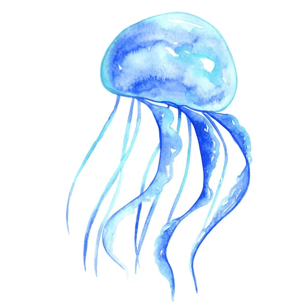 Blue Jellyfish Watercolor Illustration Seafood Marine Life Concept — Foto Stock