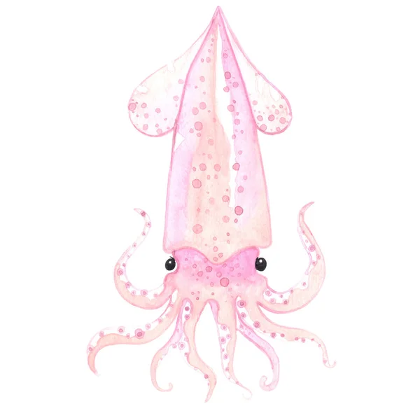 Squid Watercolor Illustration Seafood Marine Life Concept — Fotografia de Stock