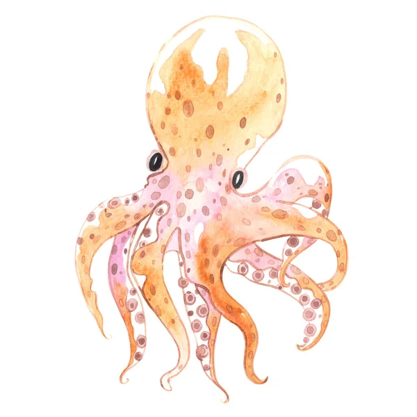 Octopus Watercolor Illustration Seafood Marine Life Concept — Fotografia de Stock