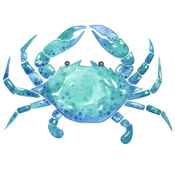 Crab Watercolor Illustration Decoration Marine Life Seafood — Stock Photo, Image