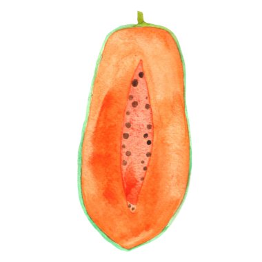 Gıda ve tarım kavramları üzerine dekorasyon için Papaya suluboya çizimi.
