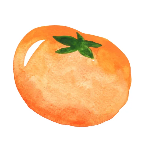 Persimmon Watercolor Illustration Decoration Food Agriculture Concept — Photo