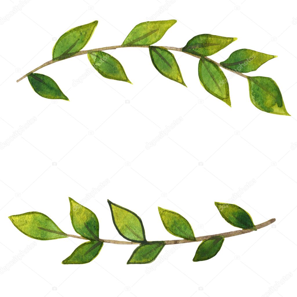 Green leaves wreath watercolor for decoration on nature garden and healthy.