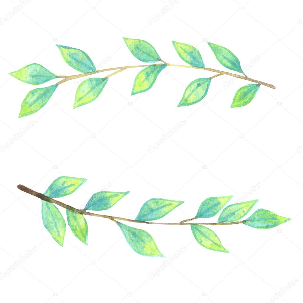 Green leaves wreath watercolor for decoration on nature garden and healthy.