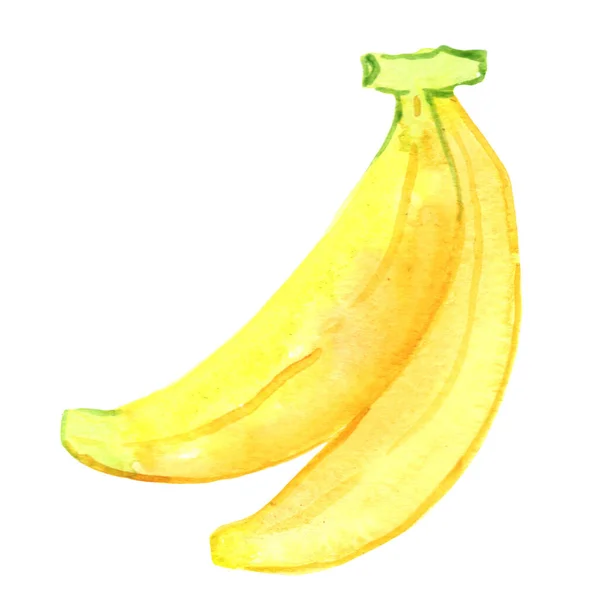 Banana Watercolor Illustration Decoration Food Agriculture Concept — Stok fotoğraf