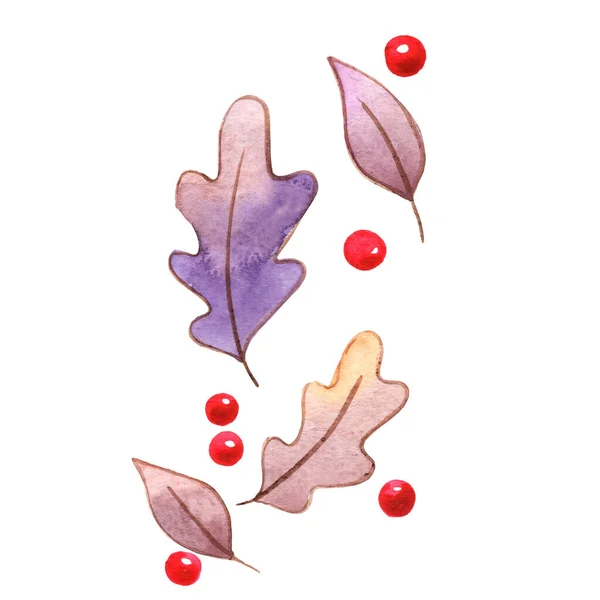 Mythic Fall Leaves Berry Watercolor Decoration Autumn Seasonal Natural Concept — 스톡 사진