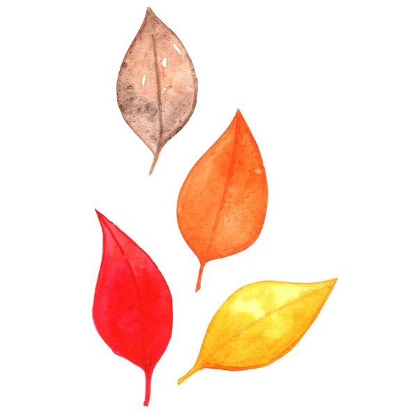 Colorful Fall Leaves Watercolor Illustration Decoration Autumn Season Nature Concept —  Fotos de Stock