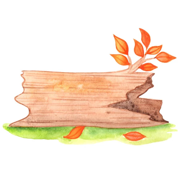 Decay Wood Fall Leaves Grass Floor Watercolor Illustration Decoation Fairy — Foto de Stock