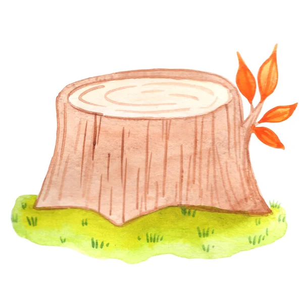Decay Wood Fall Leaves Grass Floor Watercolor Illustration Decoation Fairy — Zdjęcie stockowe