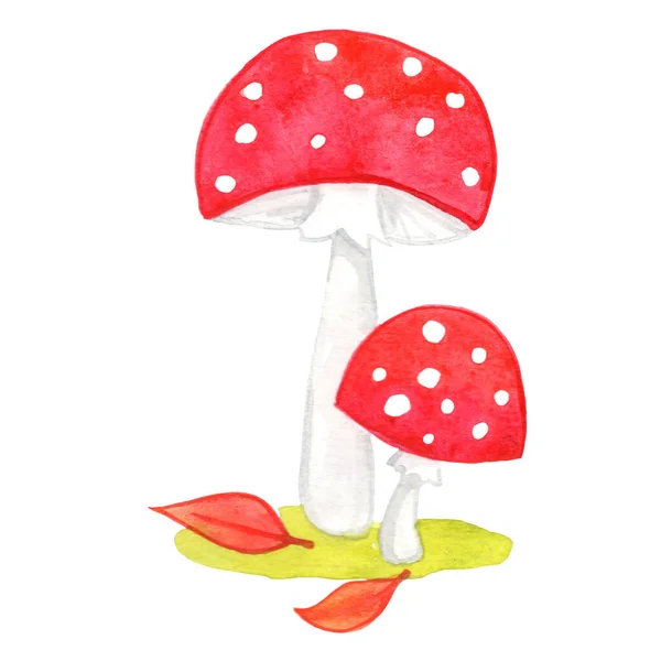 Champignon Sauvage Sur Sol Herbe Avec Illustration Aquarelle Feuille Automne — Photo