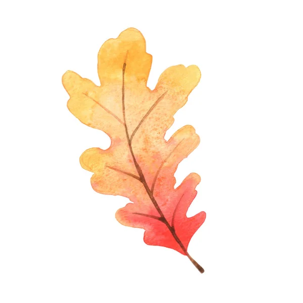 Rotes Und Orangefarbenes Eichenblatt Aquarell Als Dekoration Für Die Herbstsaison — Stockfoto