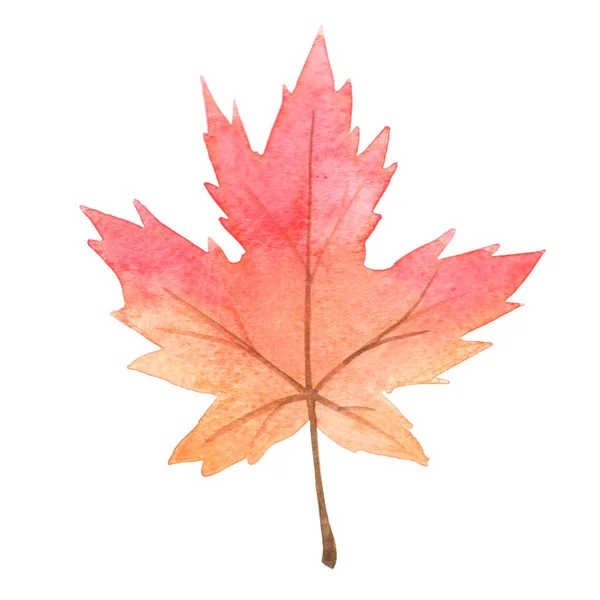 Červená Oranžová Javorový List Akvarel Pro Dekoraci Podzimním Sezónním Díkůvzdání — Stock fotografie