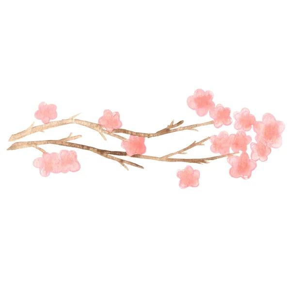 Δέσμη Γλυκών Ροζ Λουλουδιών Υδατογραφία Για Διακόσμηση Την Ανοιξιάτικη Σεζόν — Φωτογραφία Αρχείου