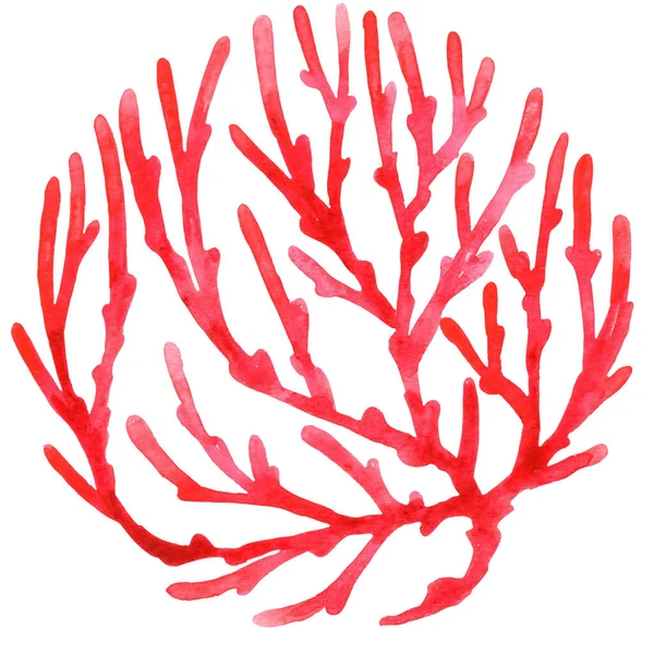 Vörös Korallzátony Akvarell Dekoráció Nyári Tengeri Élet Koncepció — Stock Fotó