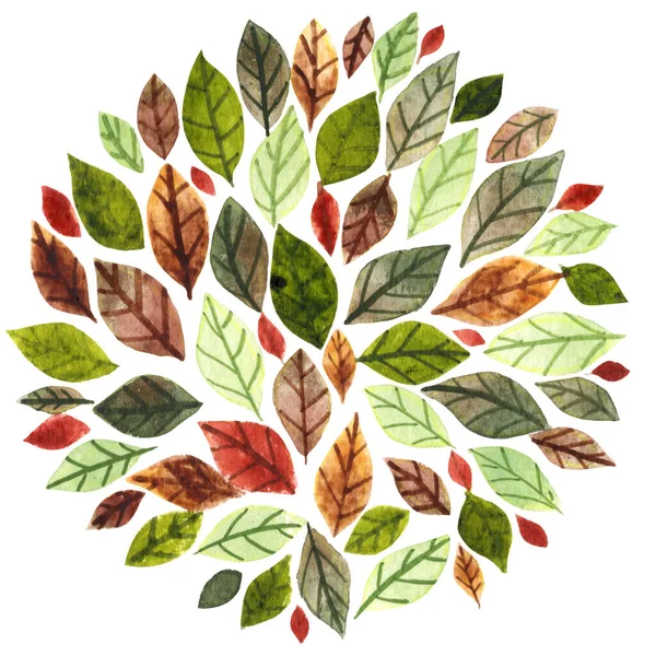 Green Brown Leaves Wreath Watercolor Decoration Autumn Season Tea Concept — Stockfoto