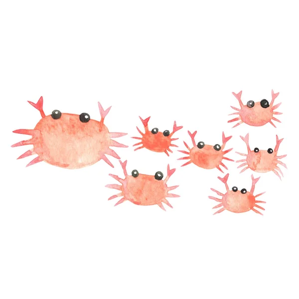Abstract red crabs watercolor for decoration on summer beach and seafood concept.