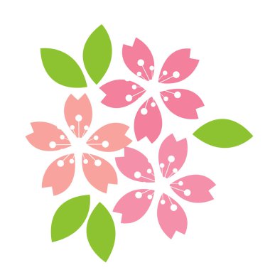 Sakura çiçeği, bahar mevsiminde süsleme için kiraz çiçeği taşıyıcısı ve Hanami festivali.