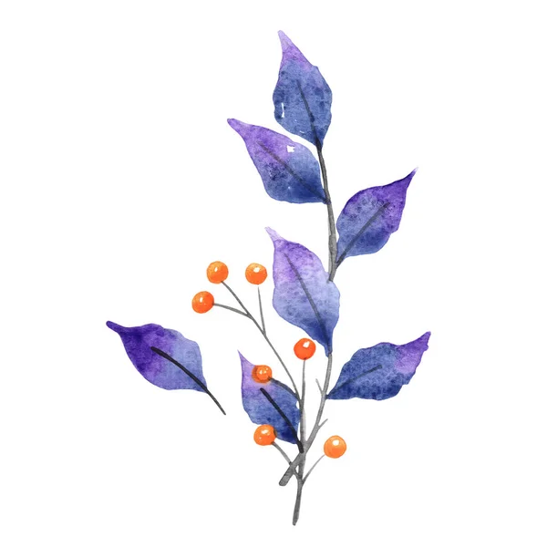 Purple Leaves Wild Berry Watercolor Illustration Decoration Autumn Season Halloween — Stockfoto