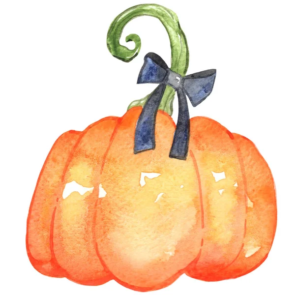 Pumpkin Black Bow Watercolor Decoration Halloween Thanksgiving Festival — Fotografia de Stock