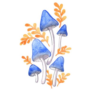 Blue mushroom and yellow fern for decoration on autumn forest and fantasy concept.