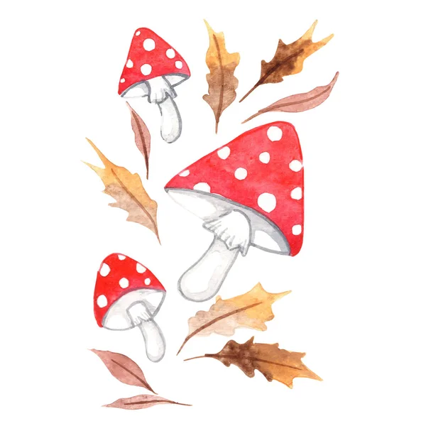 Houba Podzimními Listy Akvarel Ilustrace Pro Dekoraci Mytické Rostliny Lesy — Stock fotografie