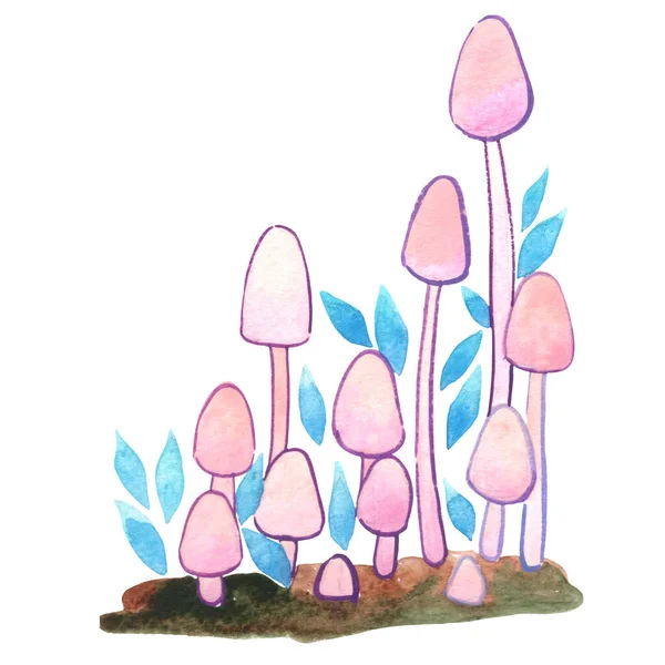 Fungo Rosa Com Folhas Azuis Aquarela Ilustração Para Decoração Planta — Fotografia de Stock