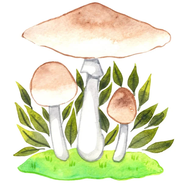 幻想的な秋の森の装飾のための青い毒のキノコの文字水彩のイラスト